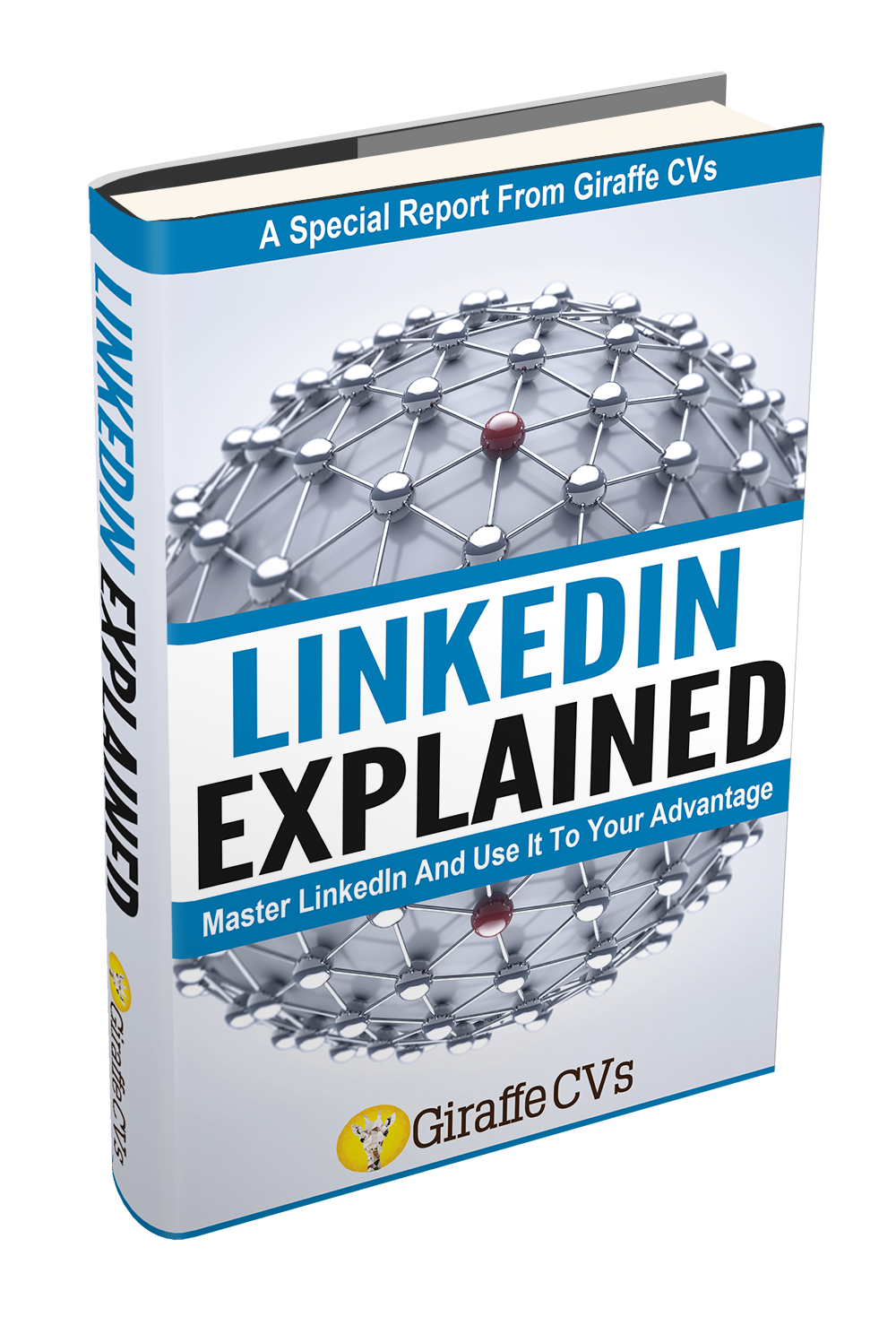 LinkedIn Explained Master LinkedIn and Use It to Your Advantage